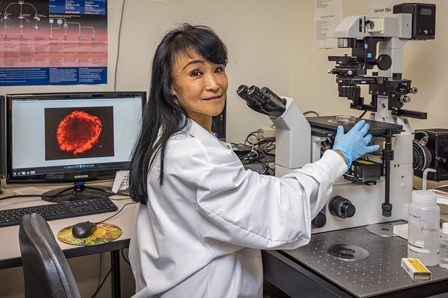 Cindy Tian looking at animal genes under microscope